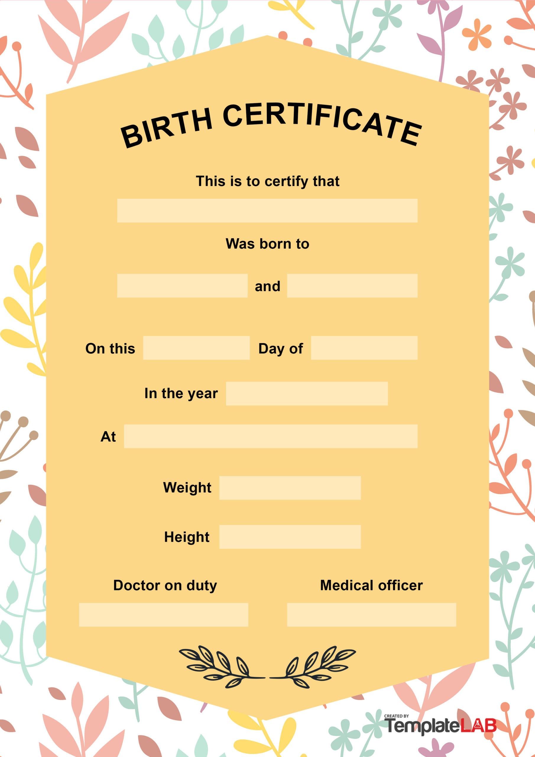 Certificado de Nascimento Livre Modelo 11