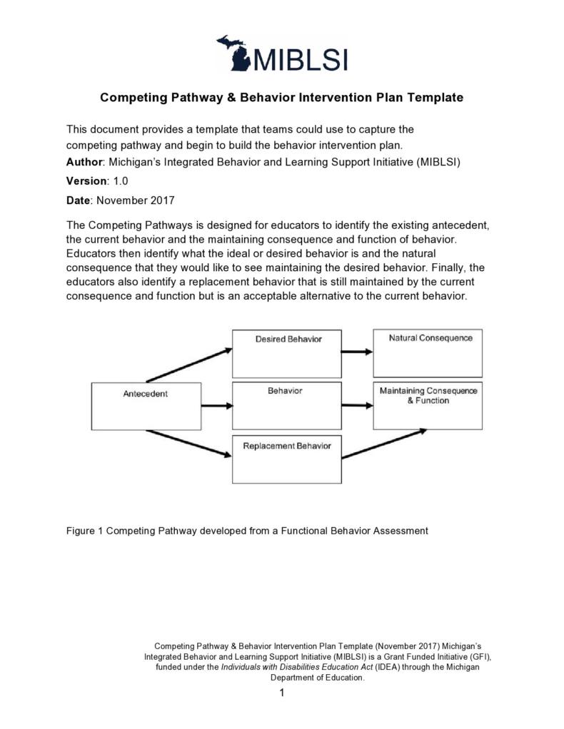 47 Useful Behavior Plan Templates (BIP Examples) ᐅ TemplateLab