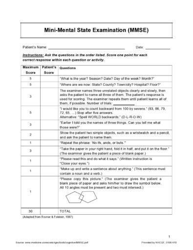 47 Free Mental Status Exam Templates (MSE Examples) ᐅ TemplateLab