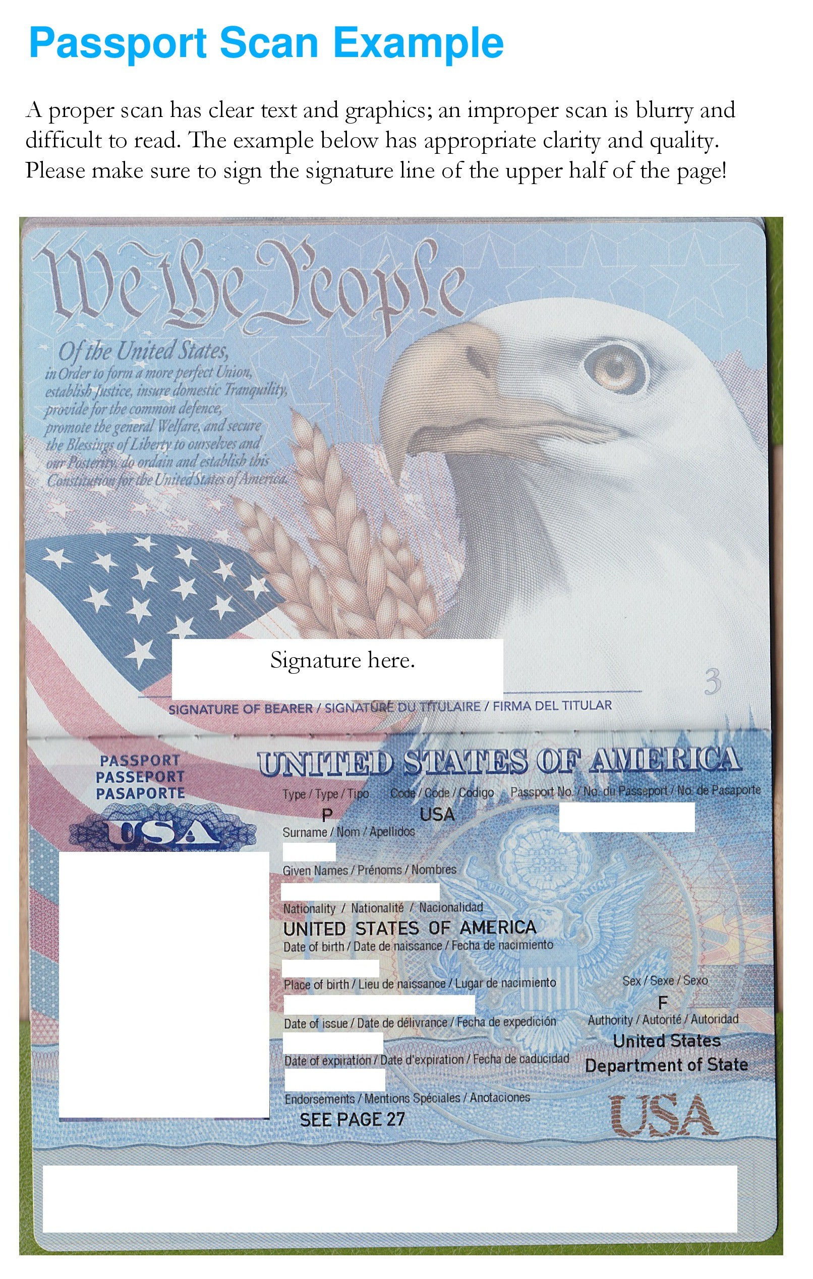 Free passport photo template 21