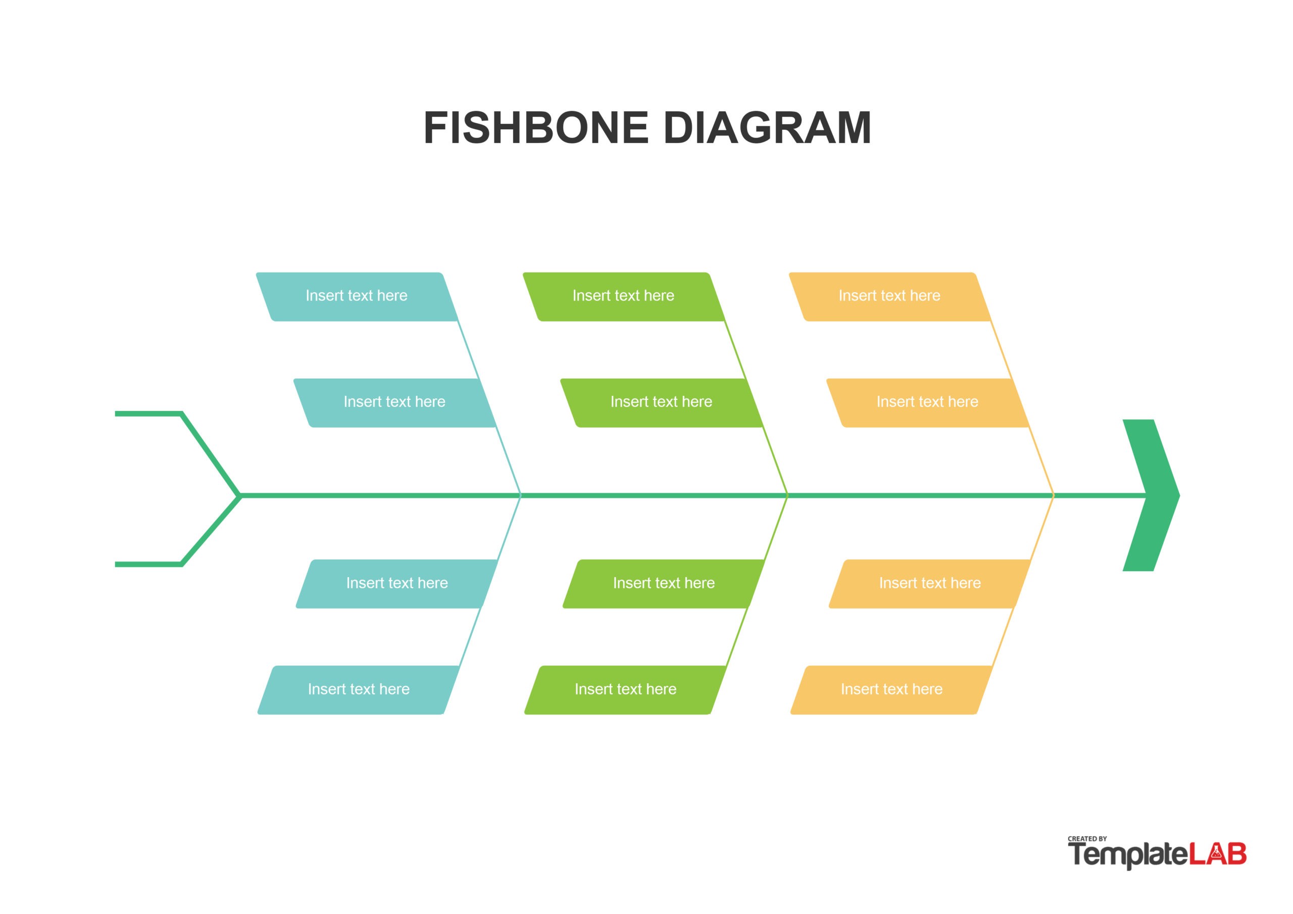 Medical Lab Fishbone Template Word