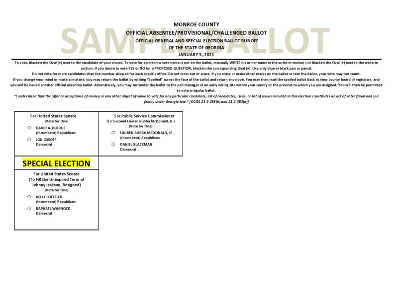 47 Free Voting Ballot Templates [Word, PDF] ᐅ TemplateLab