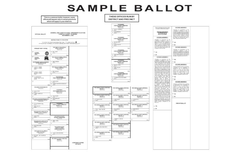 47 Free Voting Ballot Templates [Word, PDF] ᐅ TemplateLab