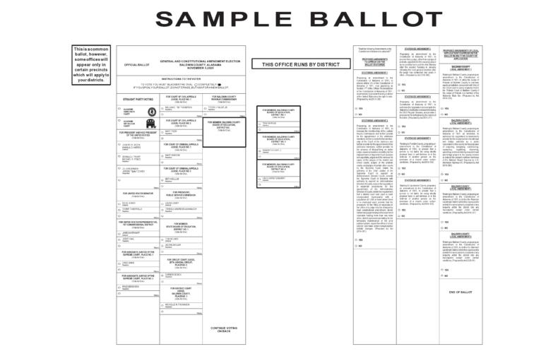 47 Free Voting Ballot Templates [Word, PDF] ᐅ TemplateLab