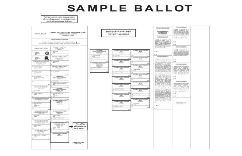 47 Free Voting Ballot Templates [Word, PDF] ᐅ TemplateLab
