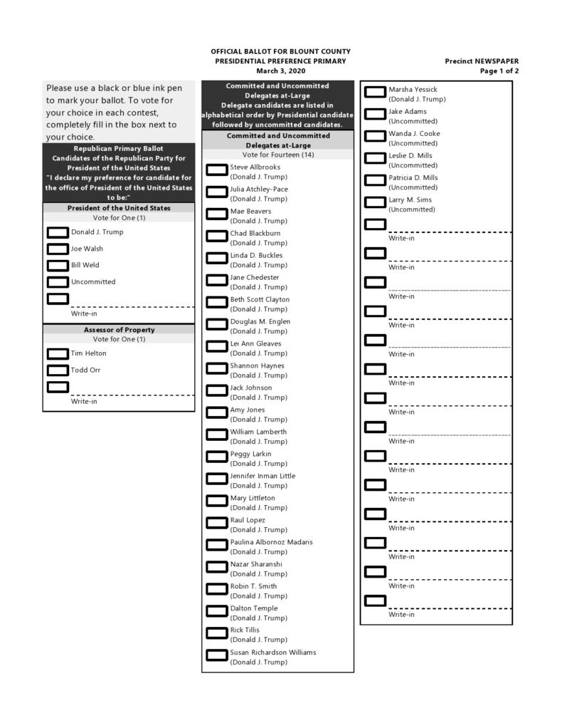 39 Election Ballot Templates (+Voting Forms) ᐅ TemplateLab