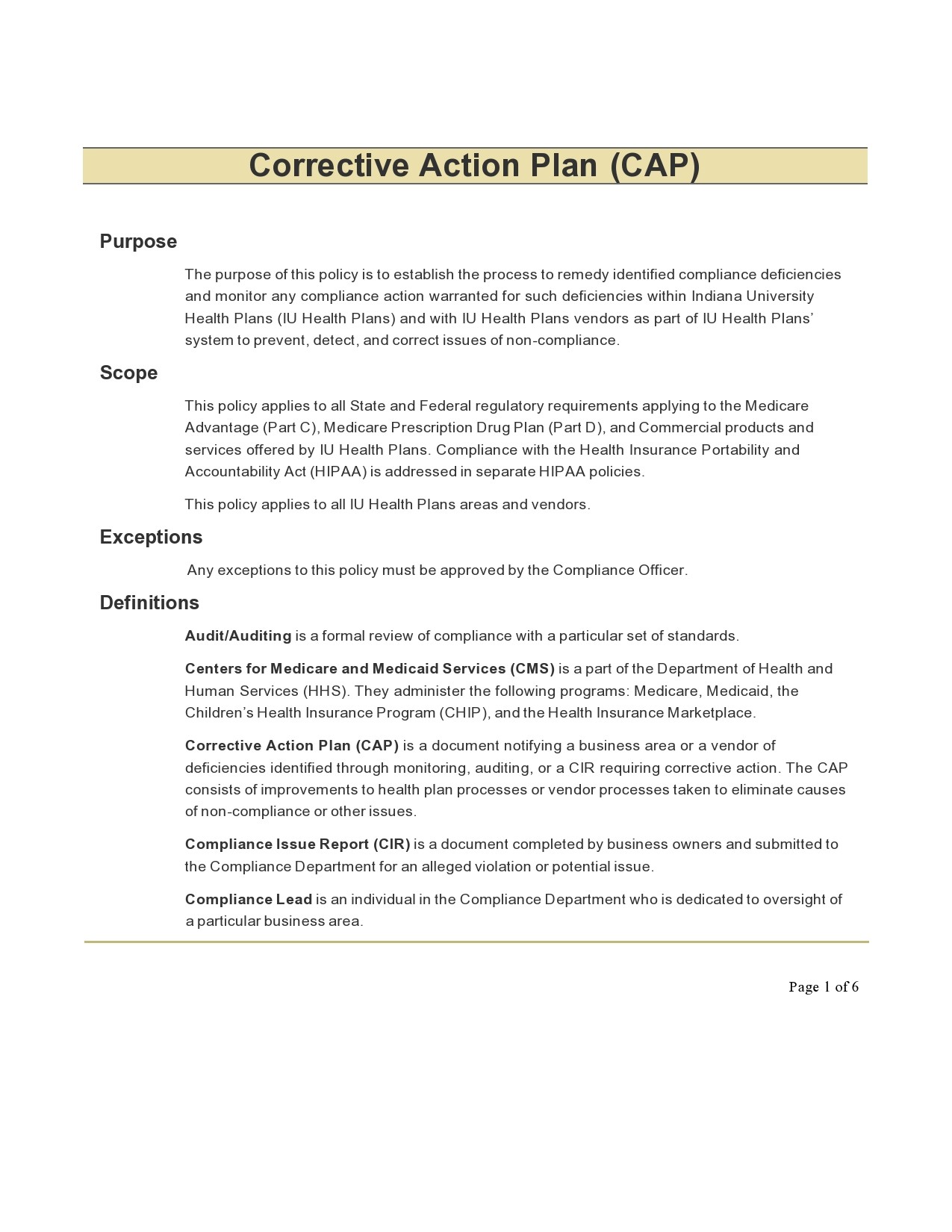Free corrective action plan template 19