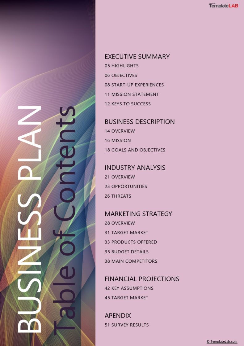 contents of a business plan template