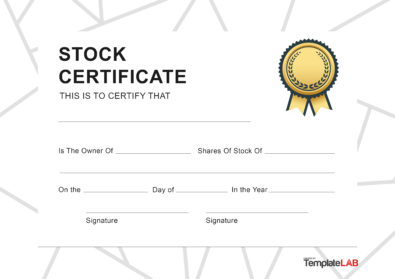 19 Free Stock Certificate Templates (Word, PDF) ᐅ TemplateLab