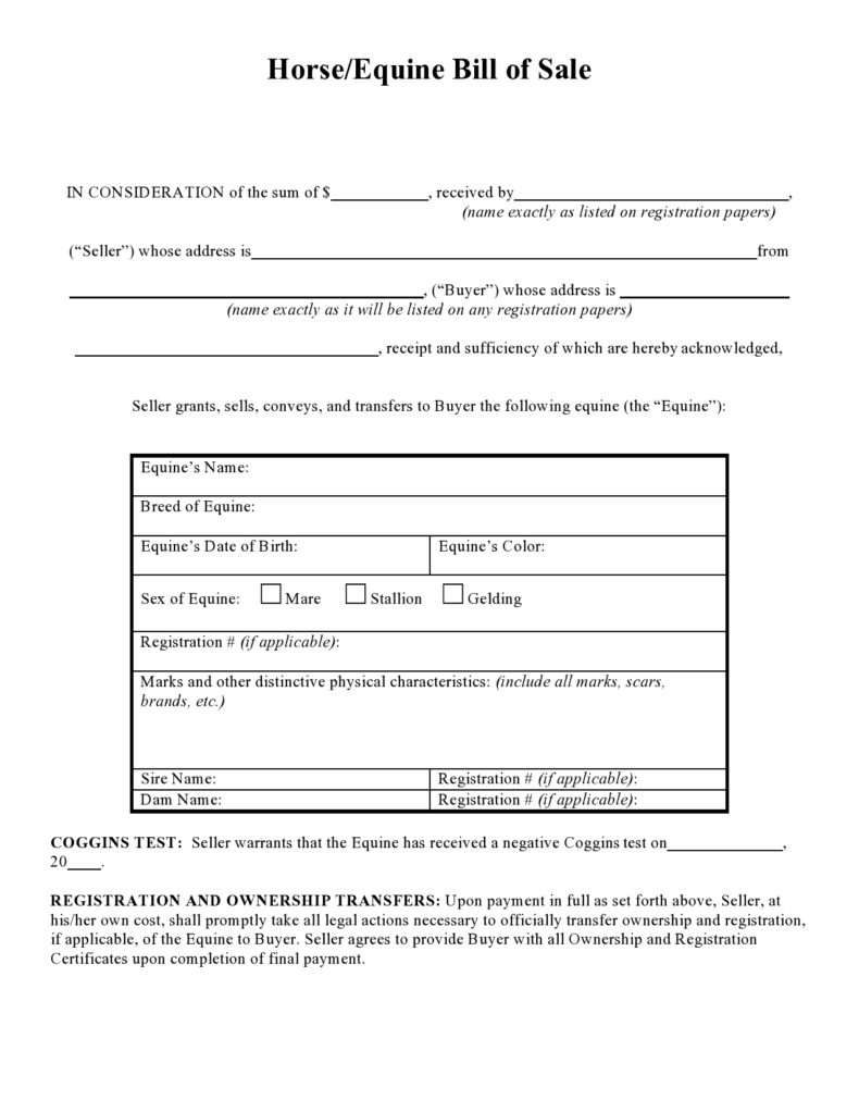 42-printable-horse-bill-of-sale-forms-templates-templatelab