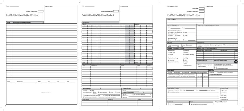 39 Printable Nursing Assessment Forms (+Examples)