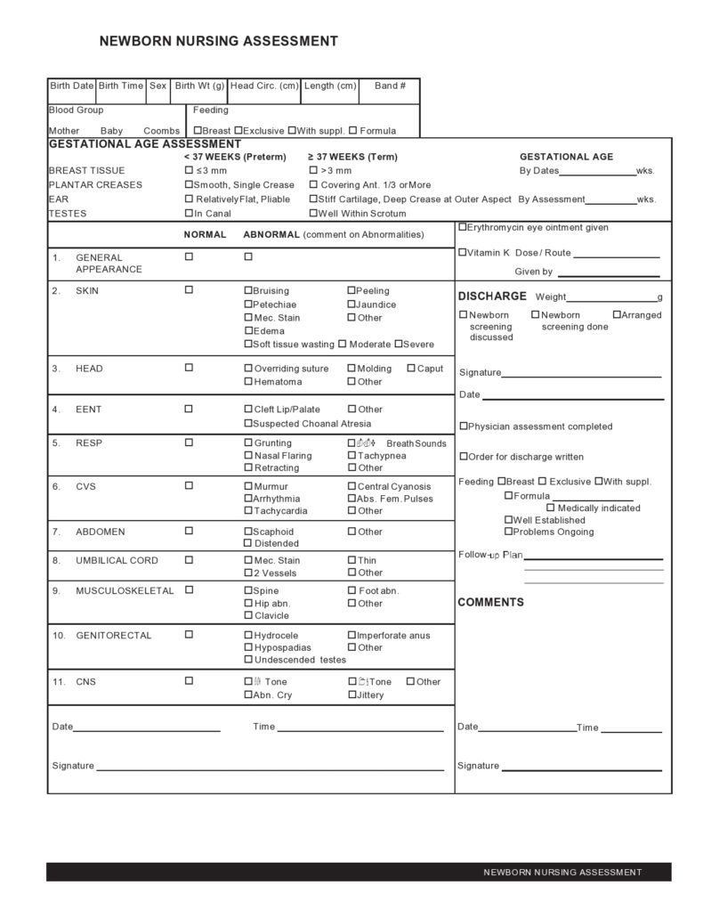 39 Printable Nursing Assessment Forms (+Examples)