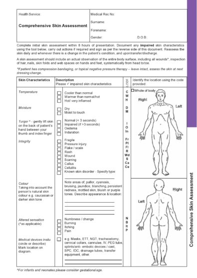 39 Printable Nursing Assessment Forms (+Examples)