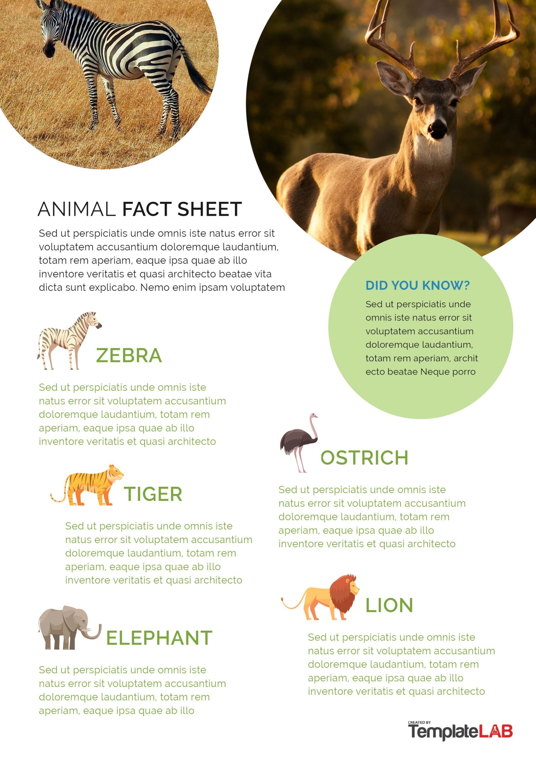 Free Animal Fact Sheet