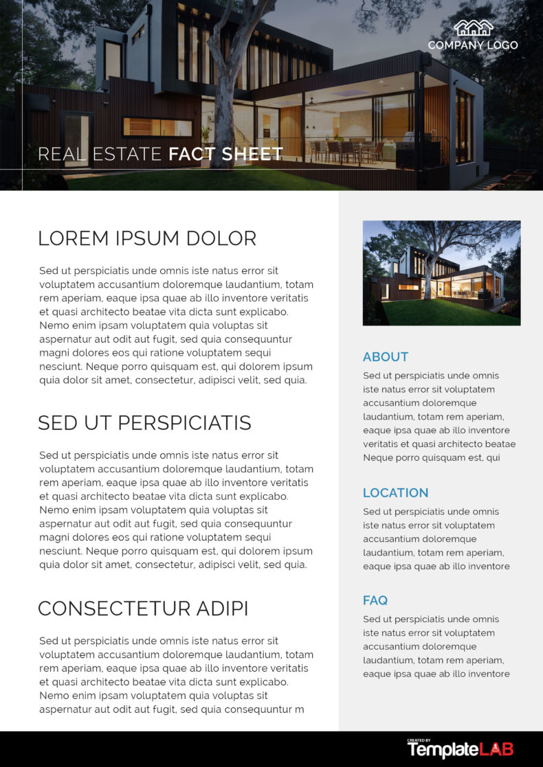 30+ Beautiful Fact Sheet Templates, Examples and Designs