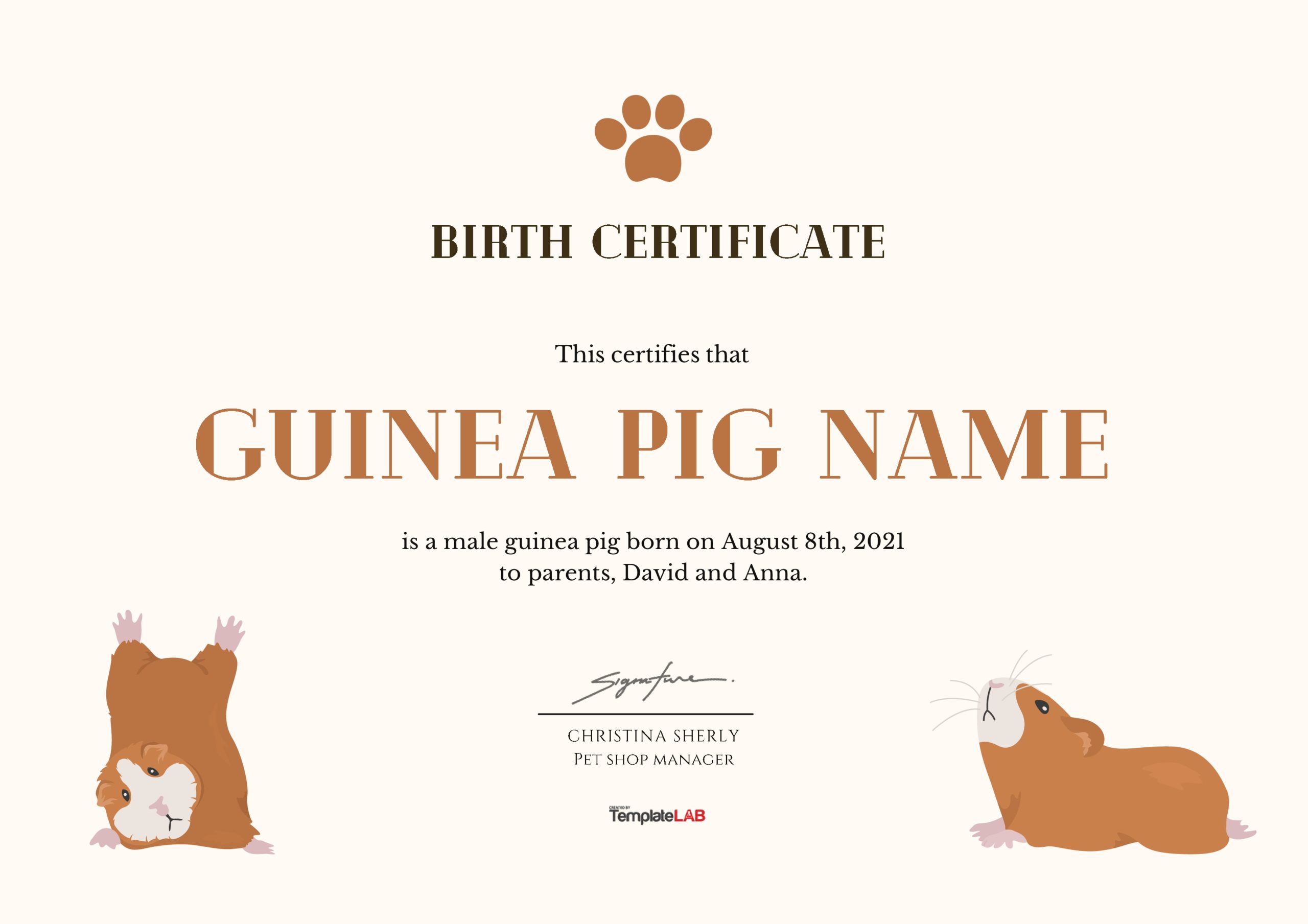 Plantilla de certificado de nacimiento de conejillo de indias gratis