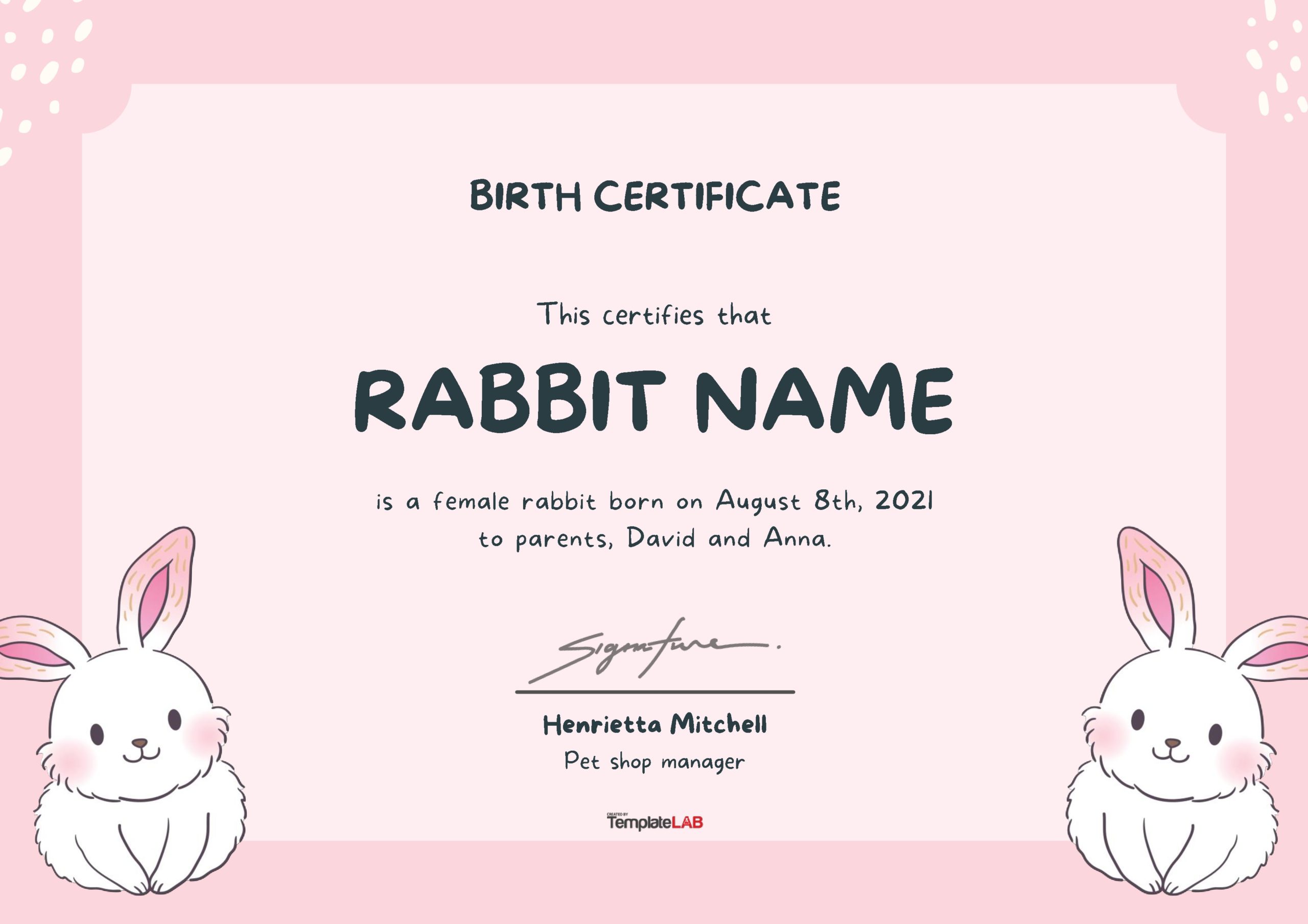 Plantilla de certificado de nacimiento de conejo gratis