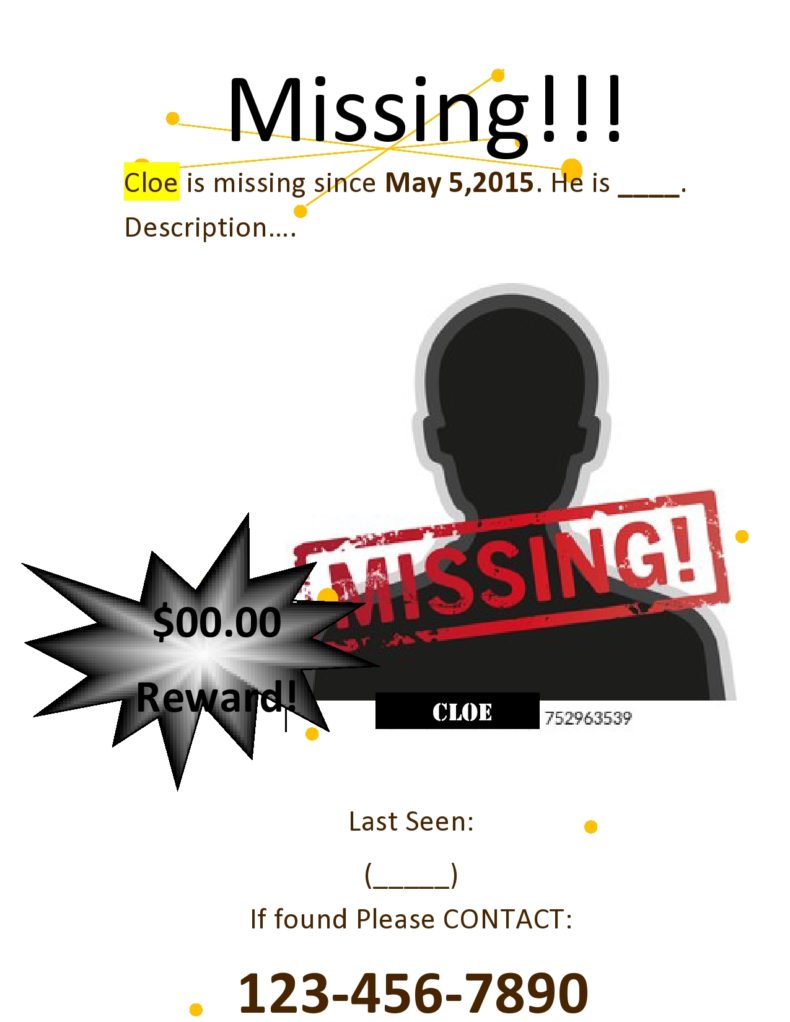 41 Printable Missing Poster Templates (Flyers & Signs)