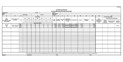 40 Free Payroll Report Templates (Excel / Word) ᐅ TemplateLab