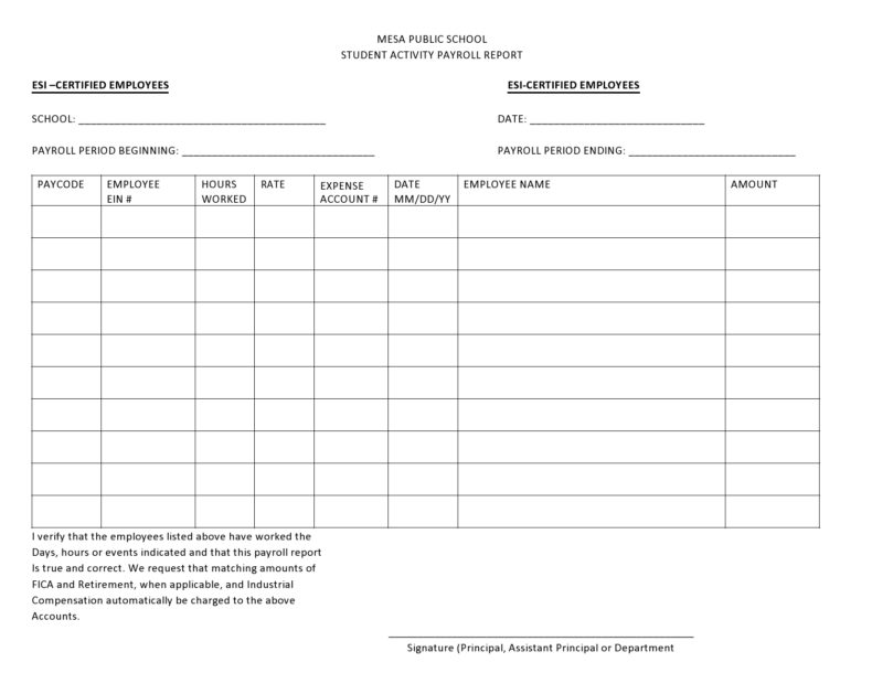 40 Free Payroll Report Templates (Excel / Word) ᐅ TemplateLab