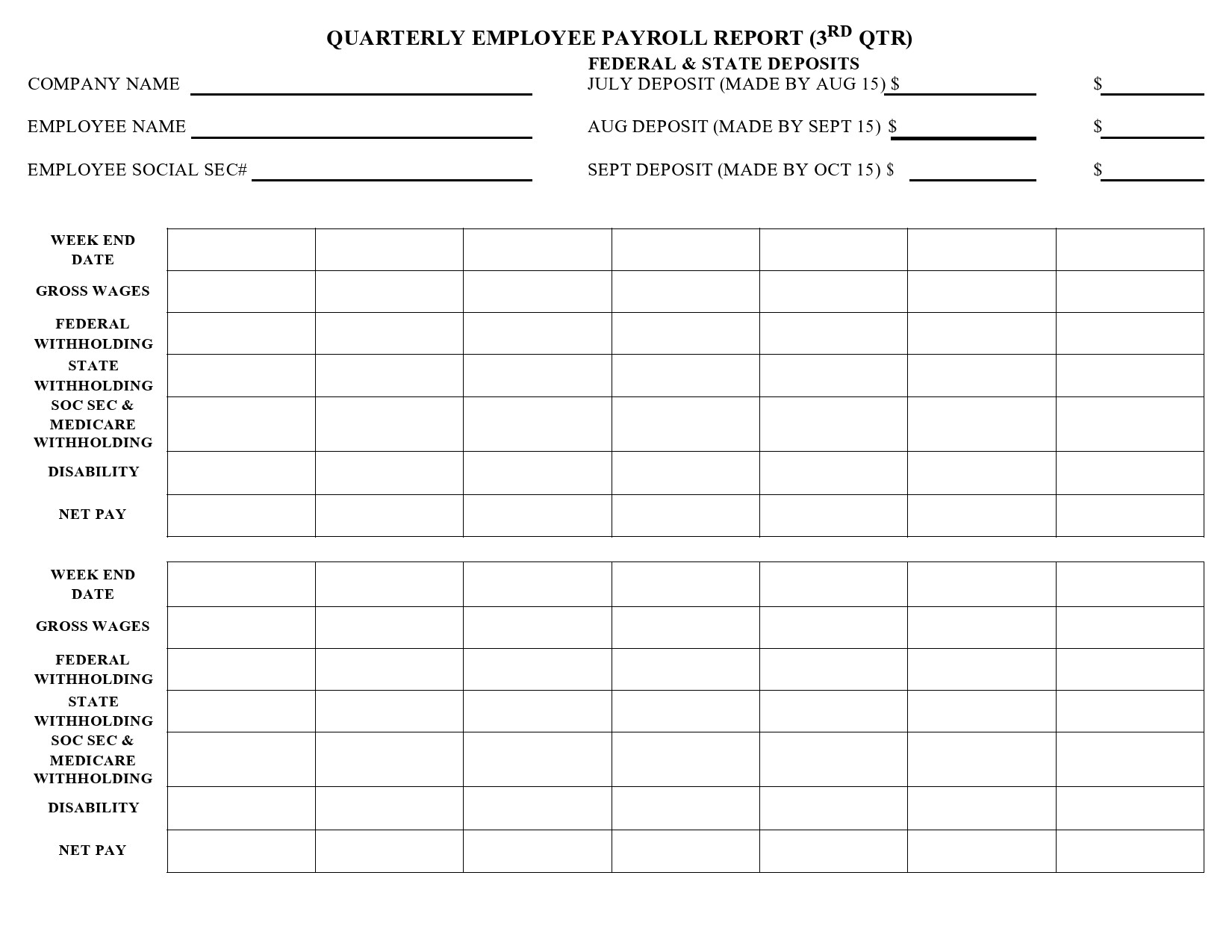 Free payroll report template 29