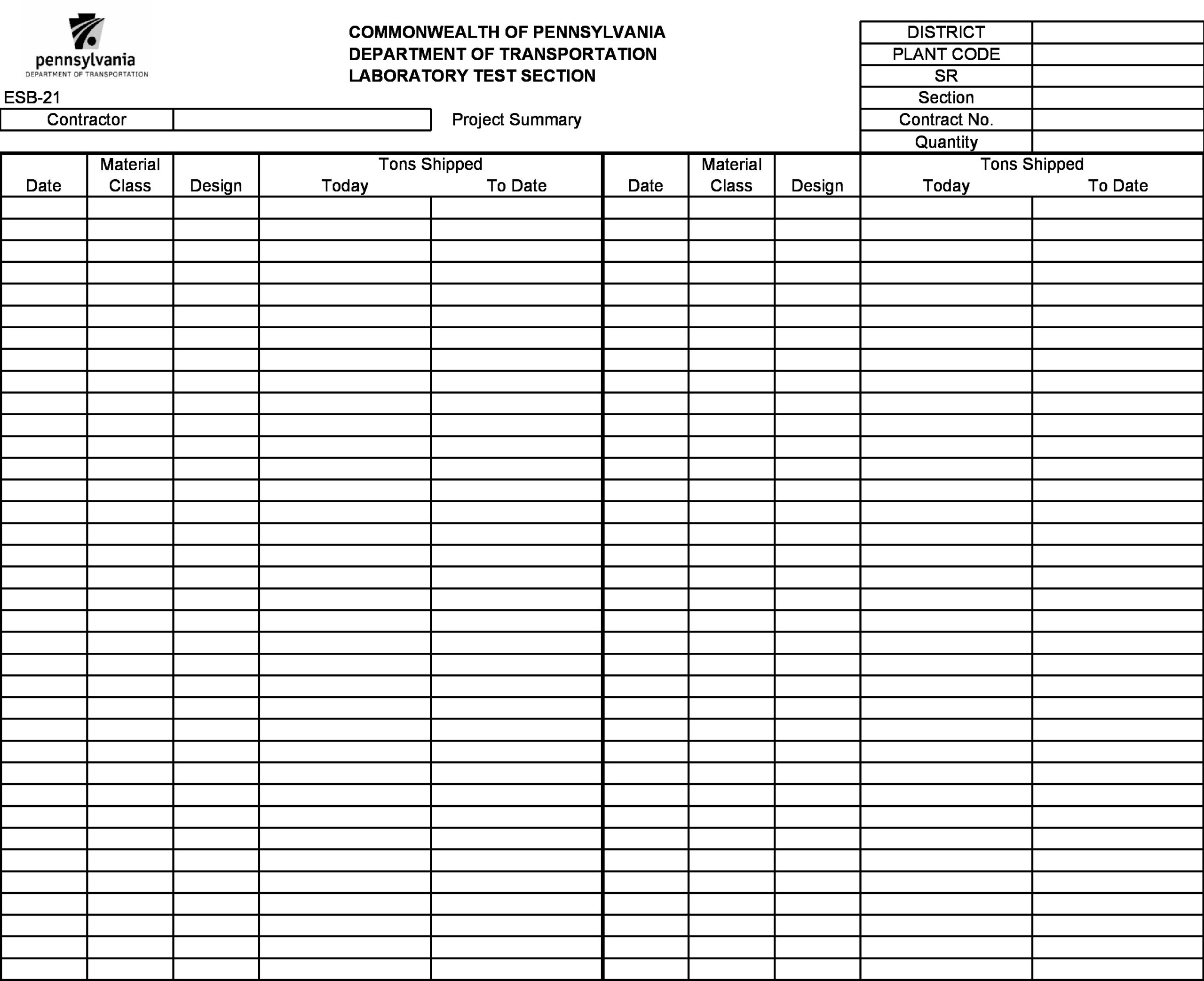Free project summary template 09