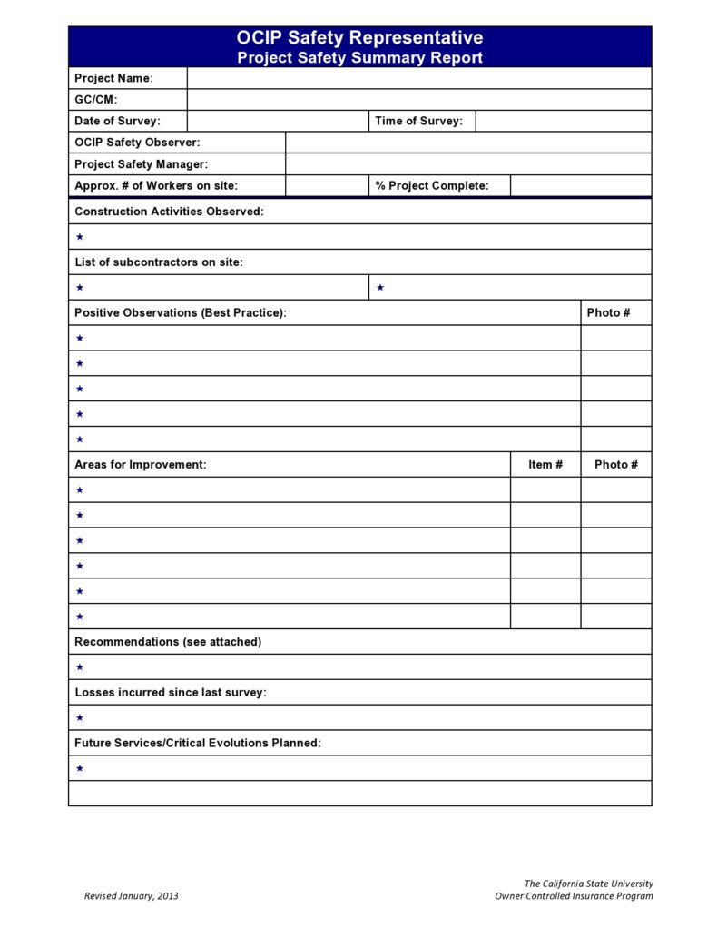 40 Perfect Project Summary Templates (+Examples)