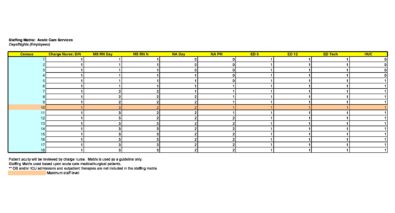 49 Effective Staffing Plan Templates (Excel Word PDF) ᐅ TemplateLab 49 Effective Staffing Plan Templates (Excel Word PDF) ᐅ TemplateLab
