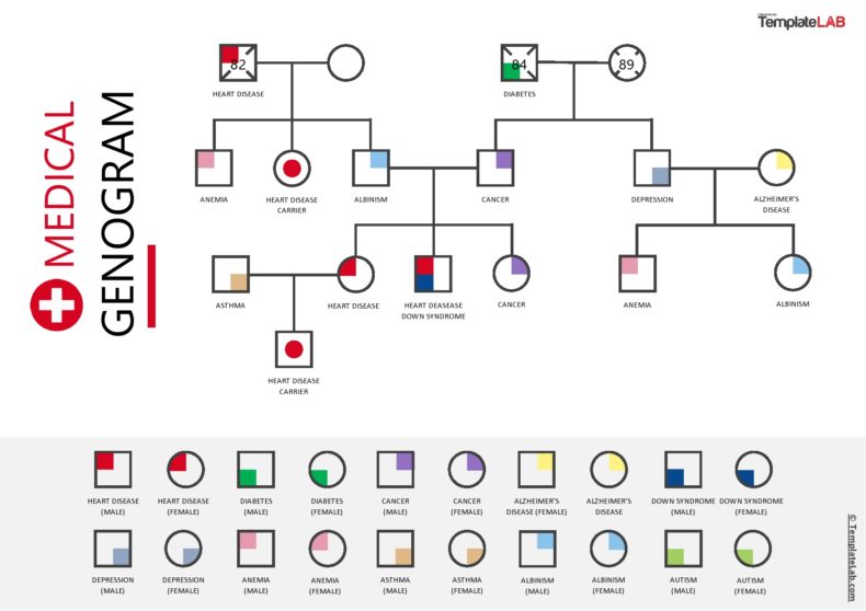 28 Free Genogram Templates & Symbols [Word, PowerPoint, PDF]