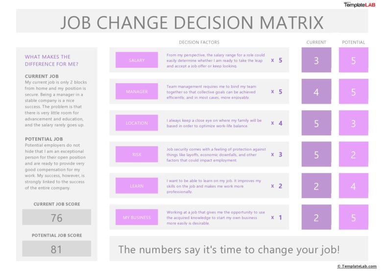 12 BEST Decision Matrix Templates (Word, Excel, PowerPoint)