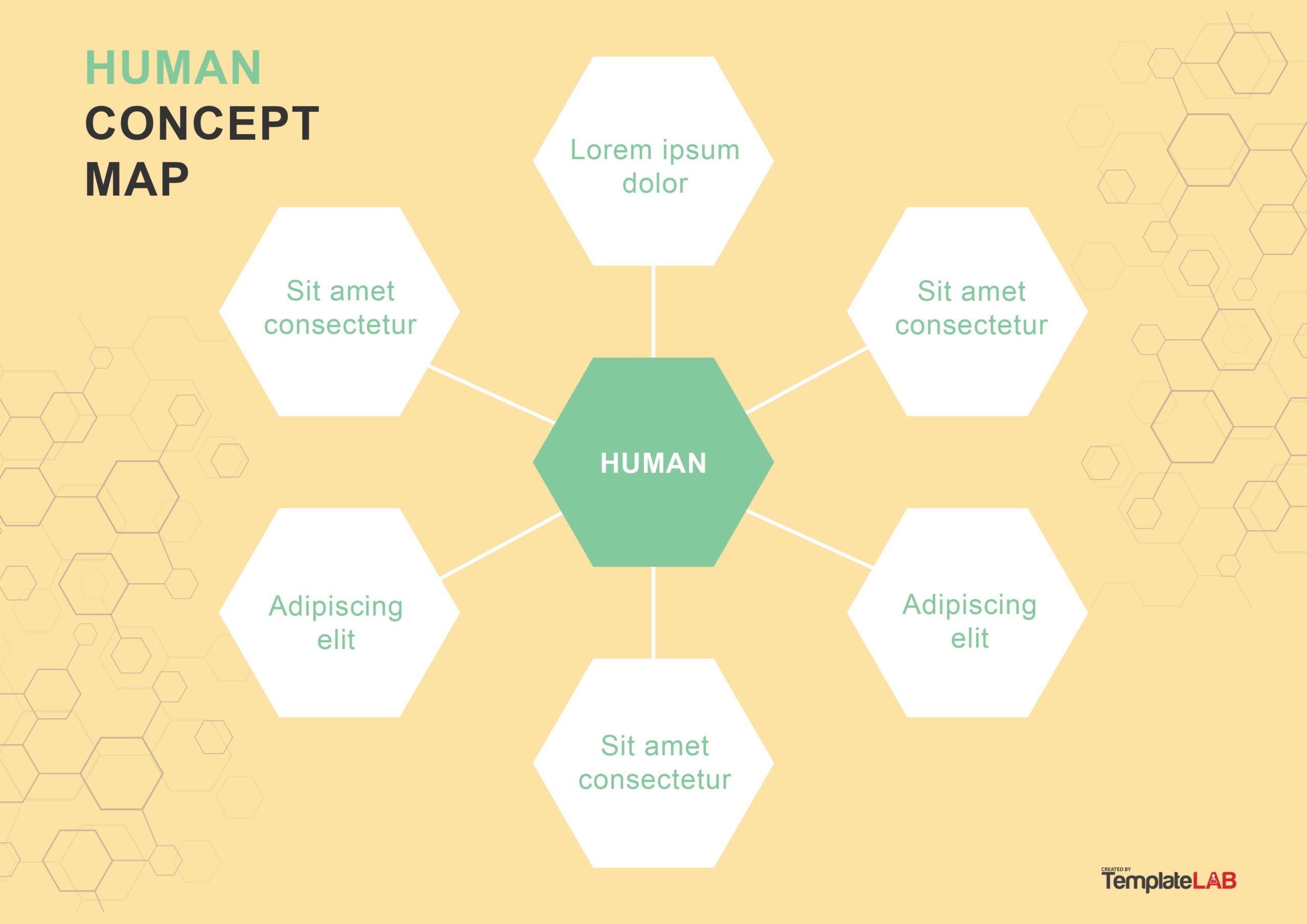 Free Human Body Concept Map Template V2