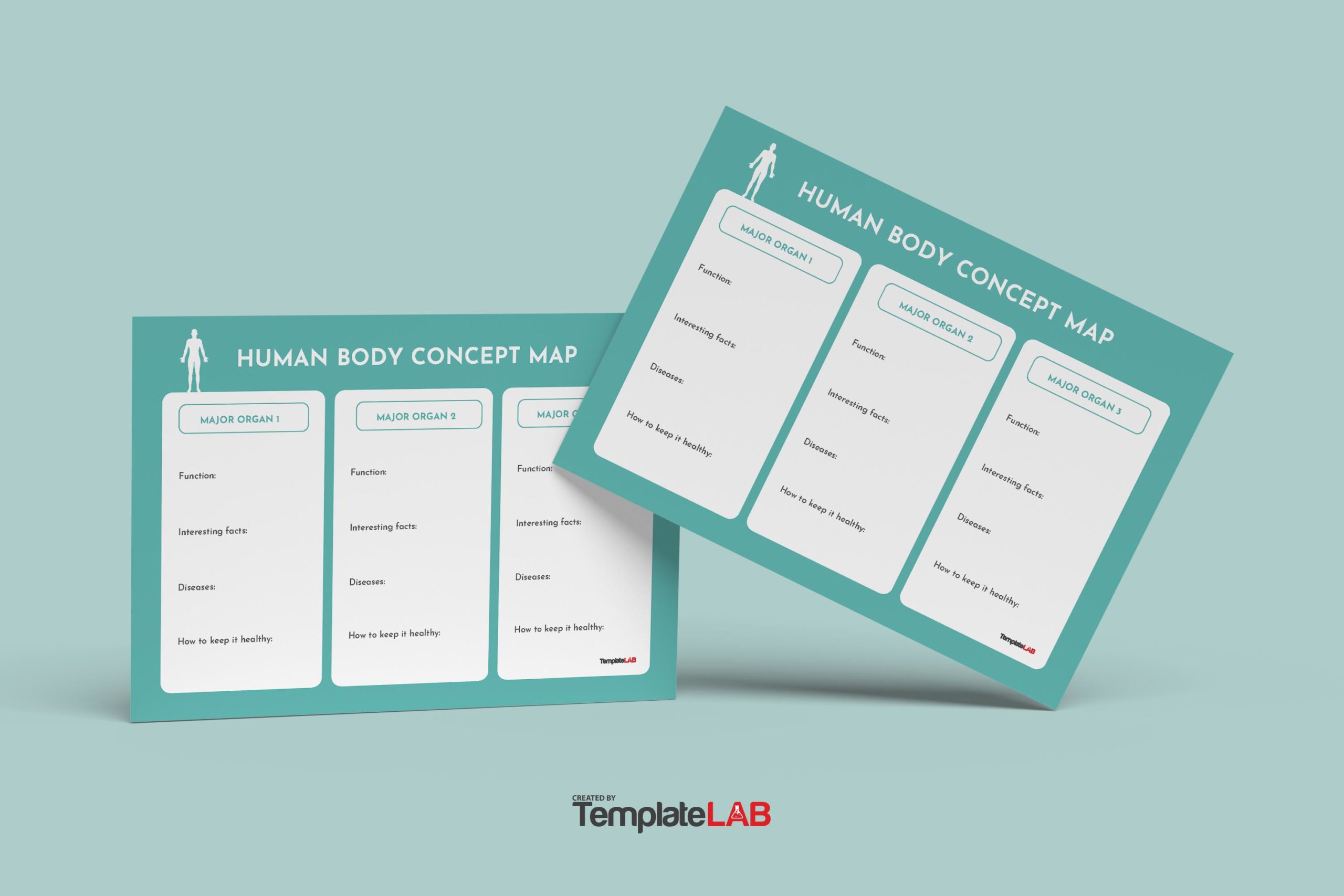 Free Human Body Concept Map Template