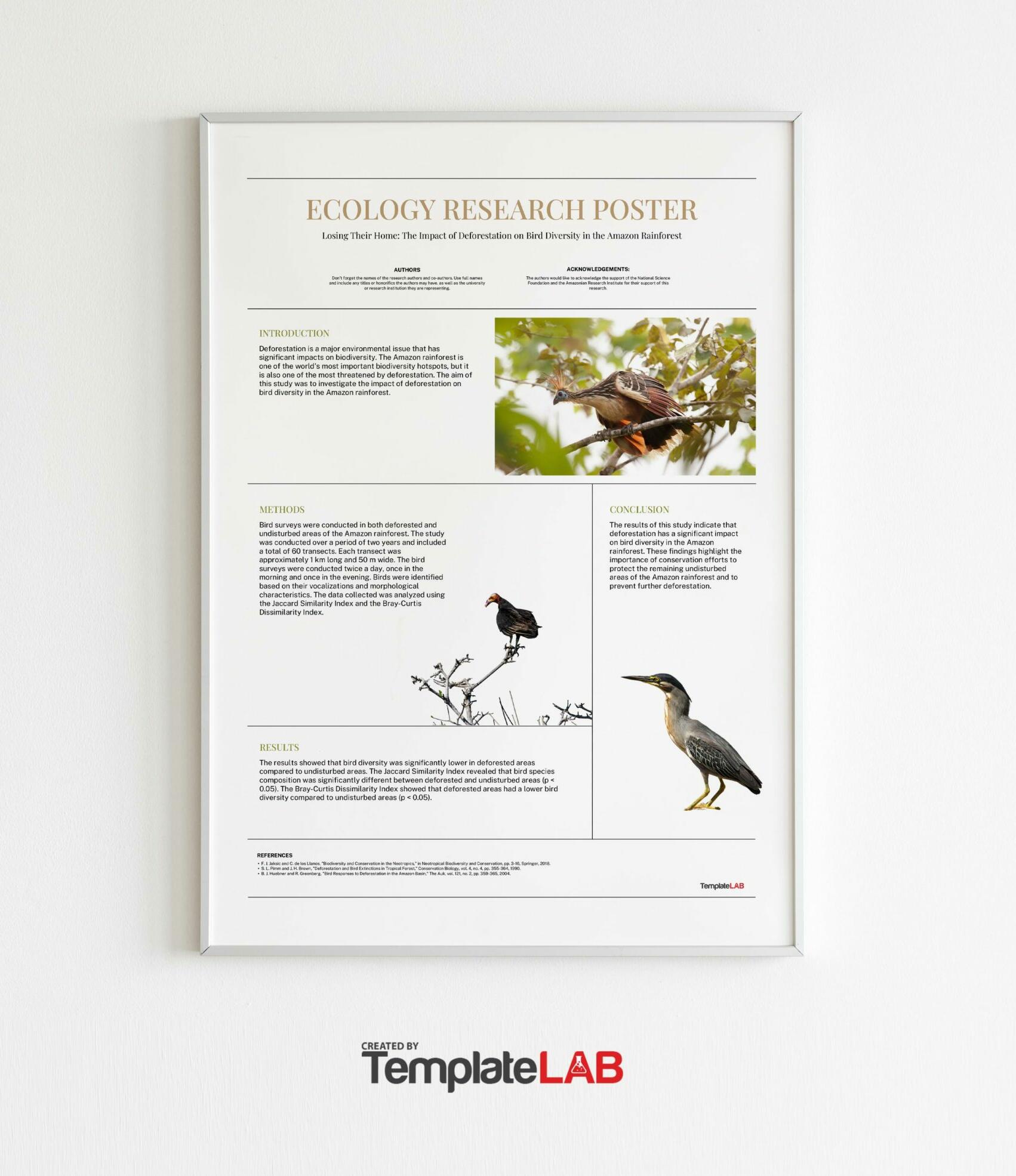 Free Ecology Research Poster