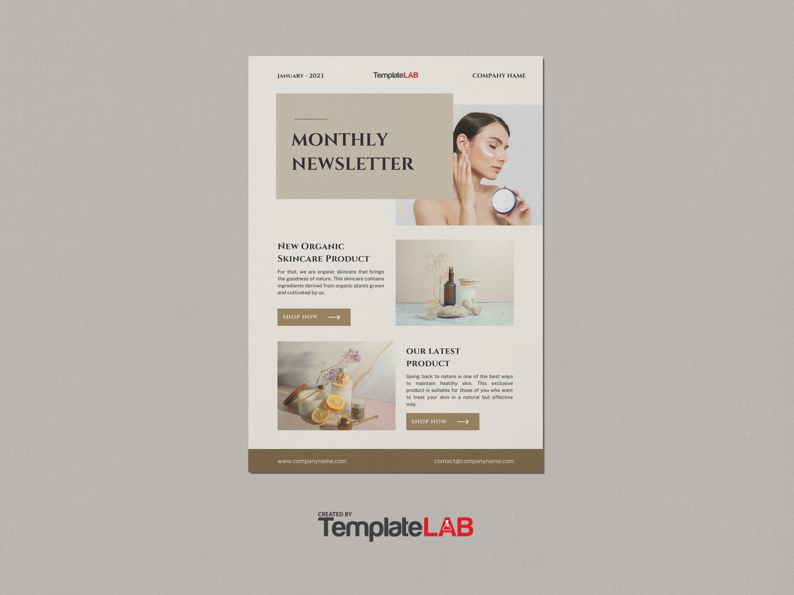 Free Monthly Newsletter Templates