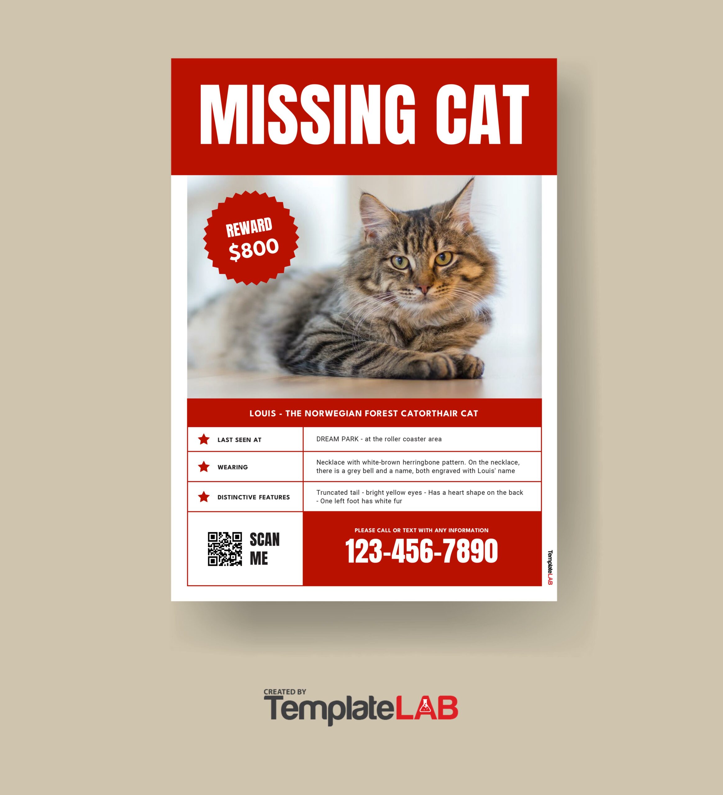 Free Missing Cat Poster Template 1