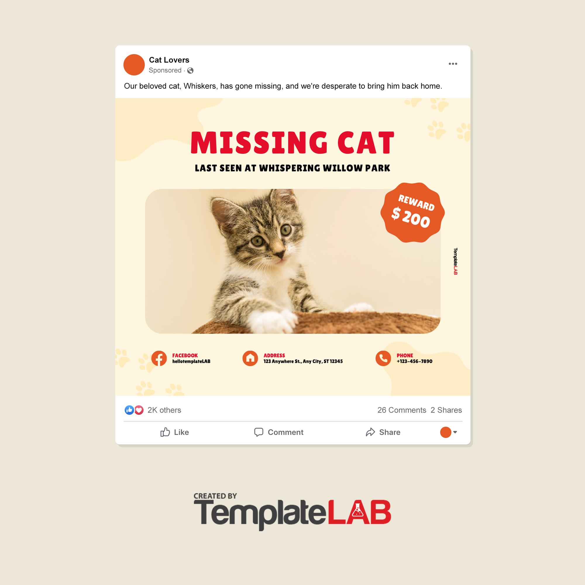 Free Missing Cat Poster Template 2 (Facebook Post)