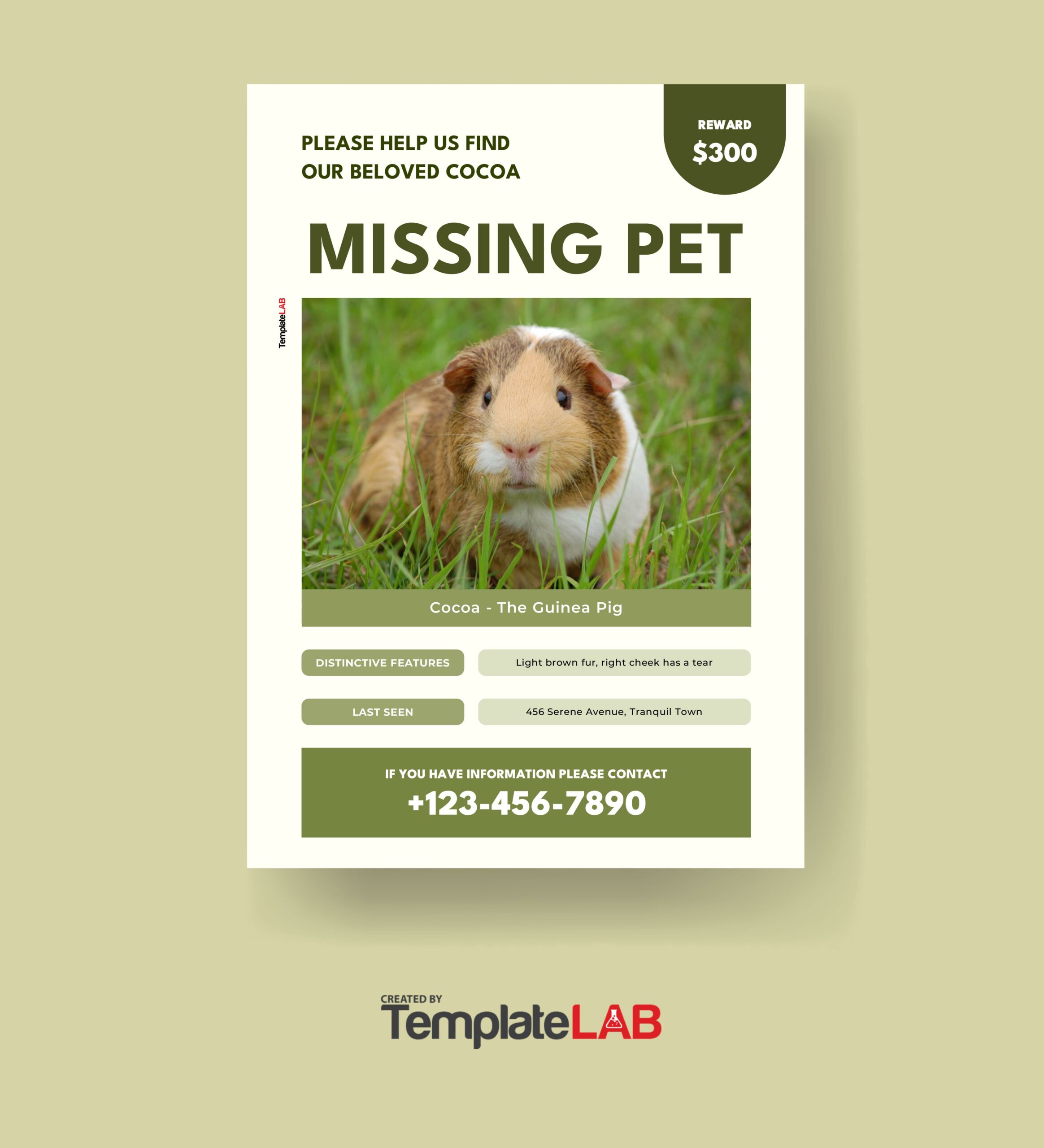 Free Missing Pet Poster Template
