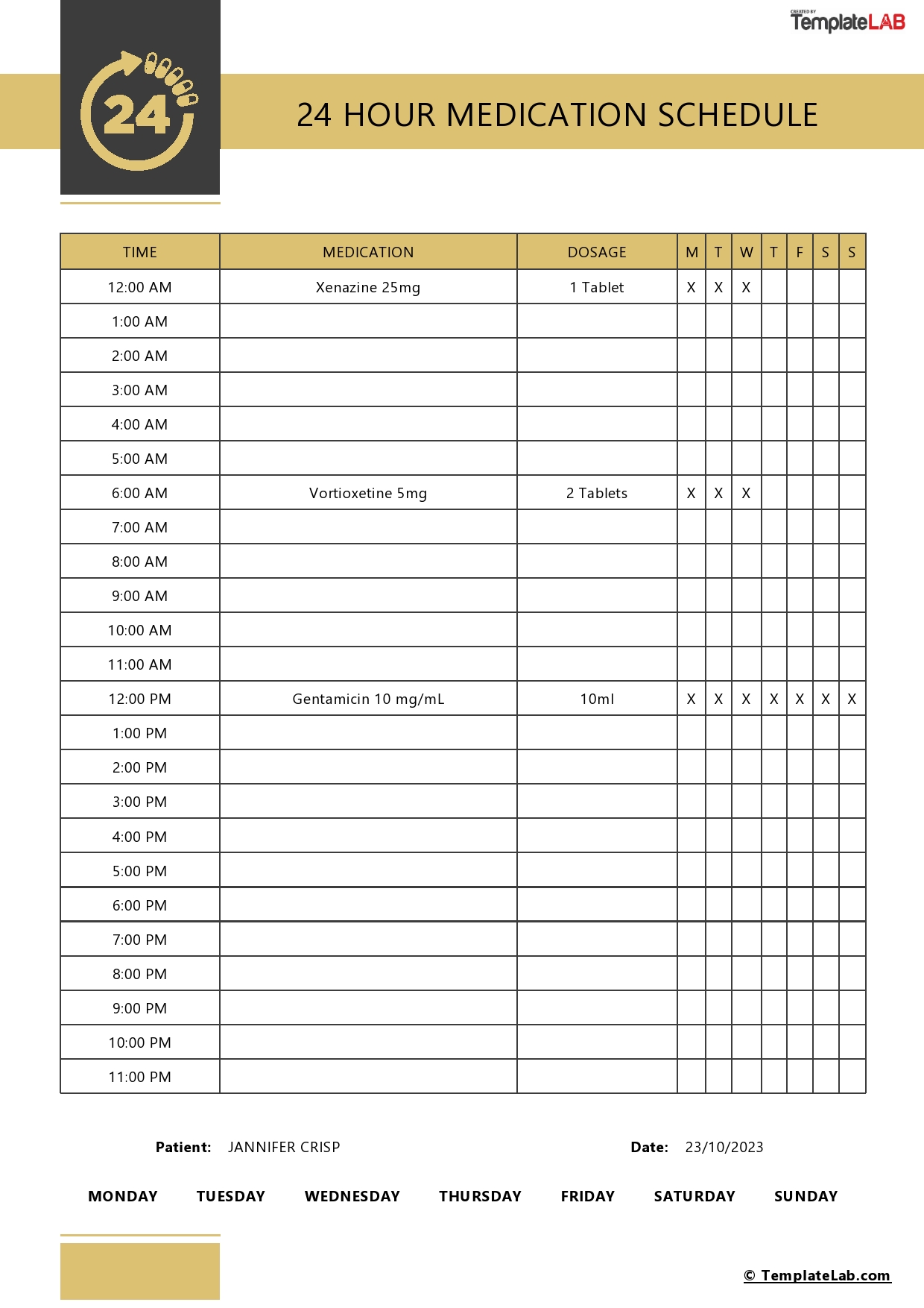 Free 24 Hour Medication Schedule Template