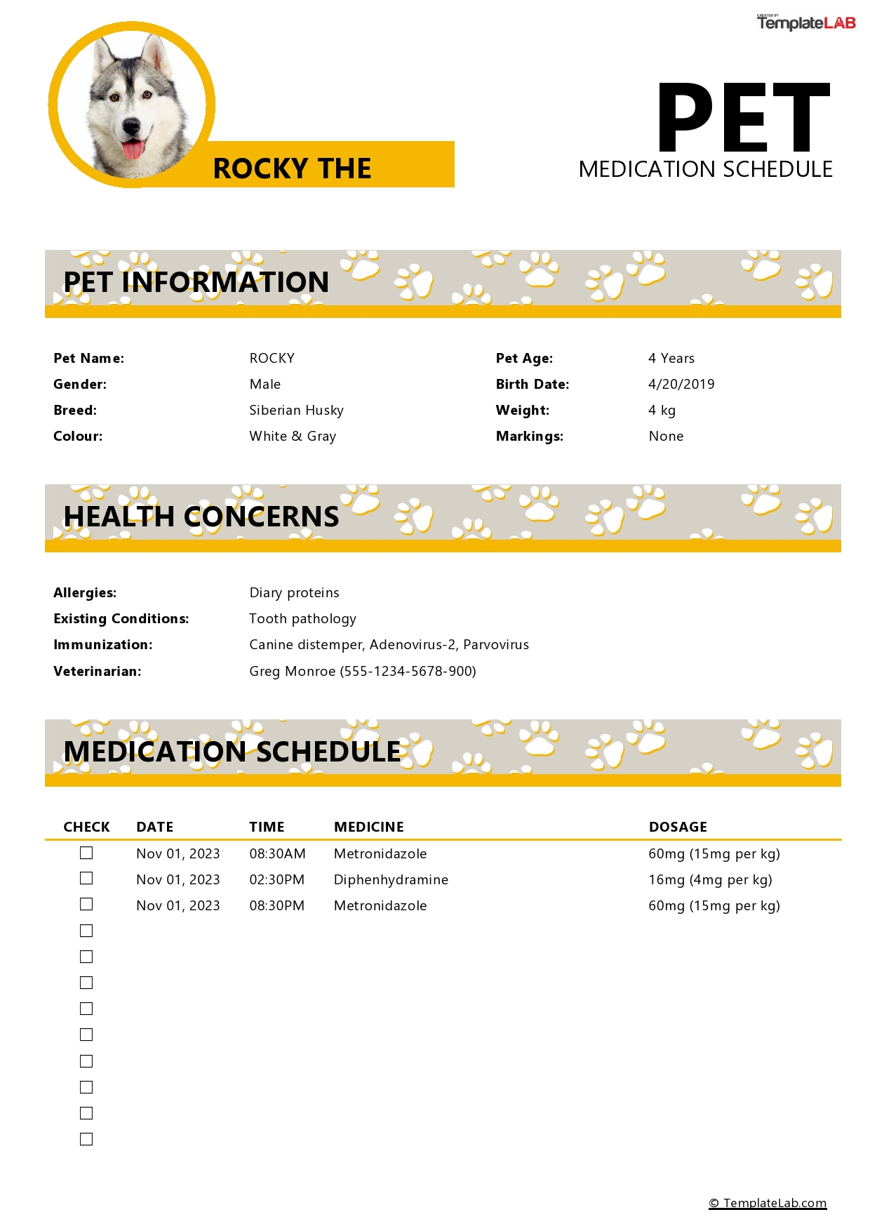 Free Pet Medication Schedule Template