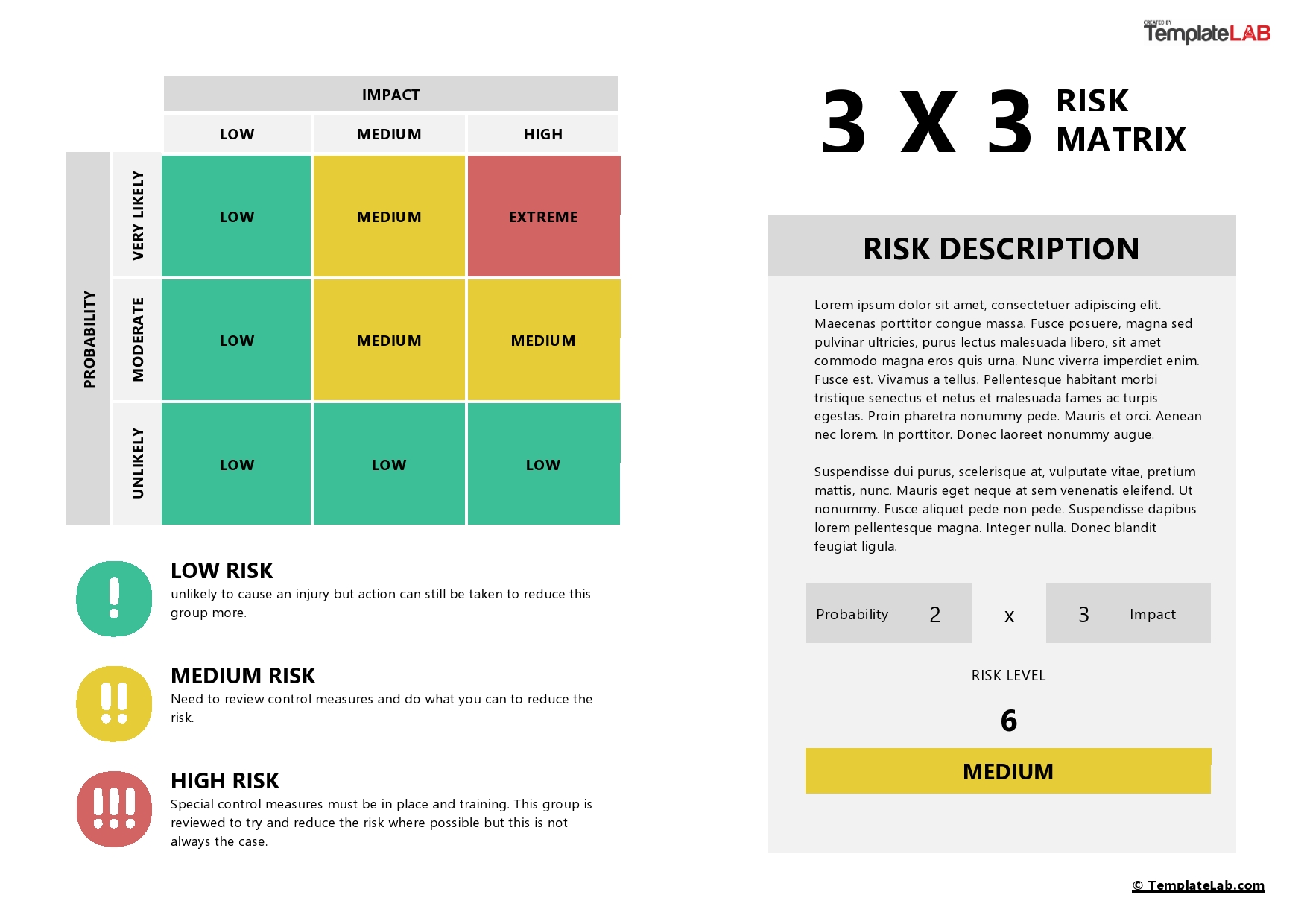 Free 3x3 Risk Matrix Template