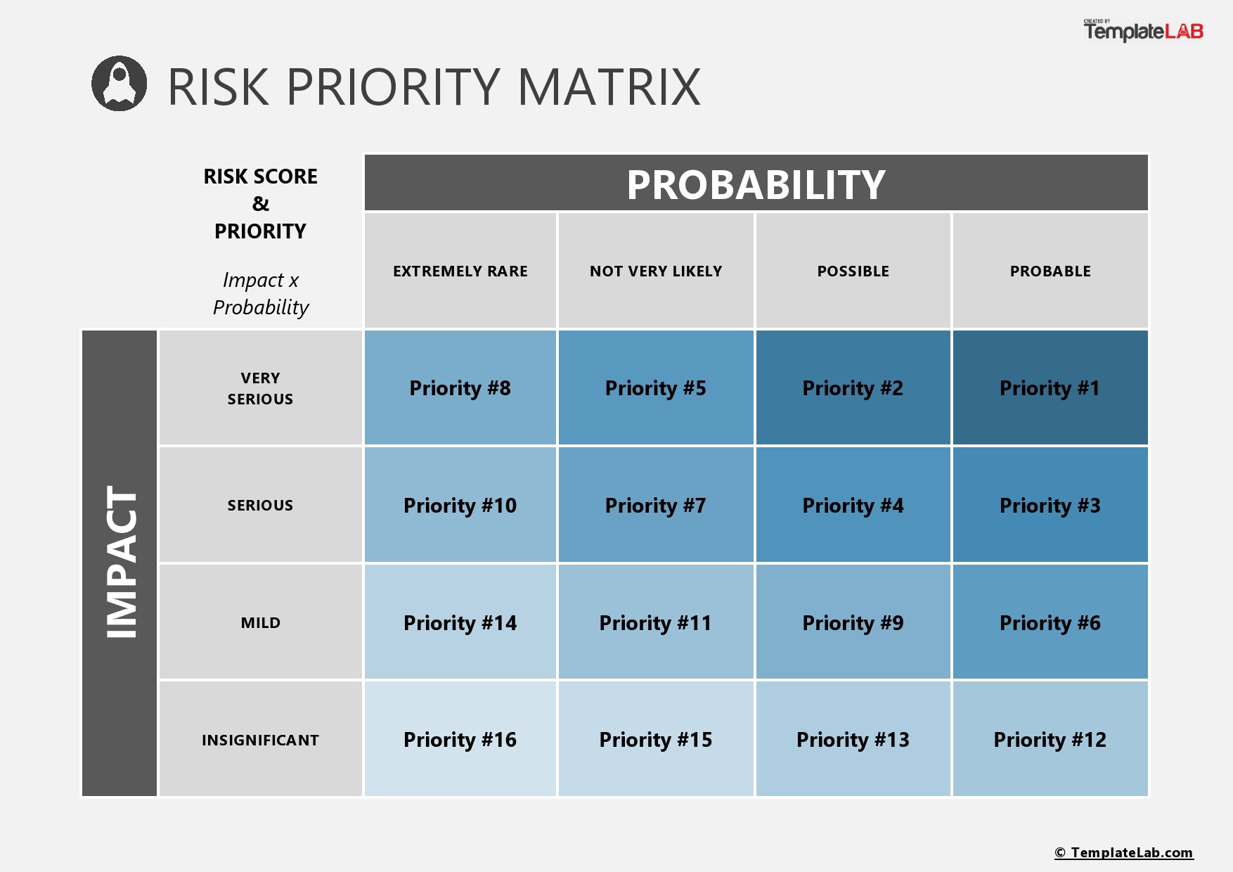 Free Risk Priority Matrix Template