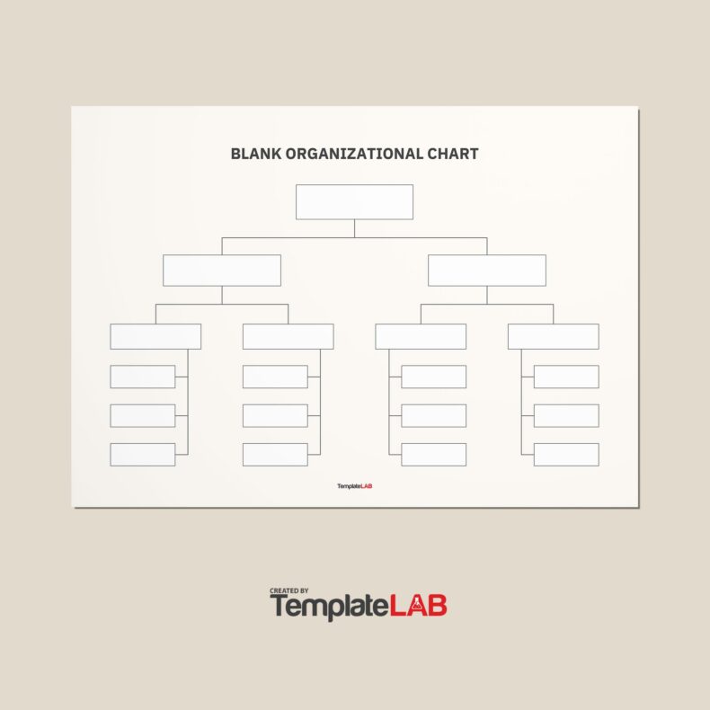 41 Organizational Chart Templates (Word Excel PowerPoint PSD)