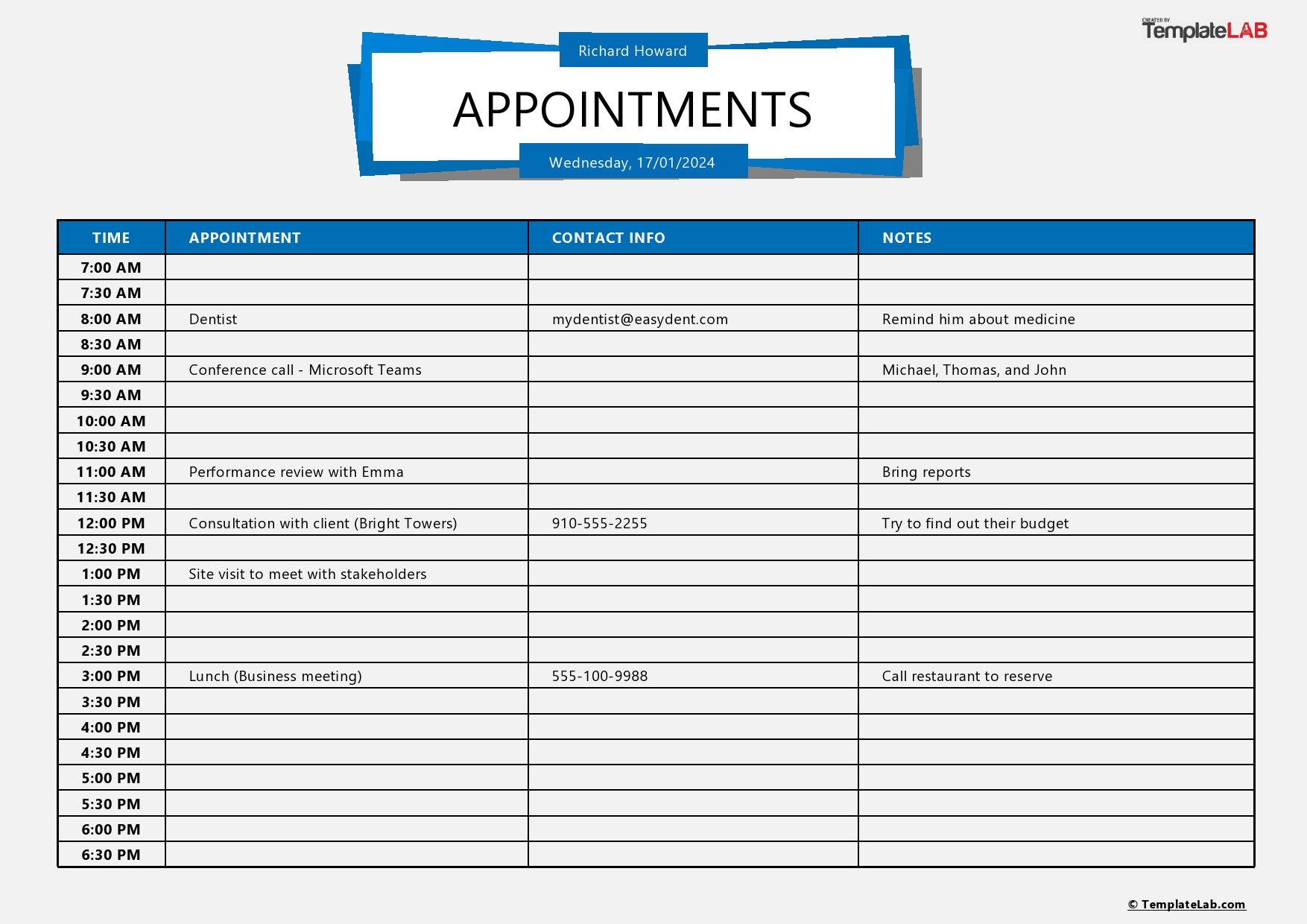 Free Daily Appointment Template