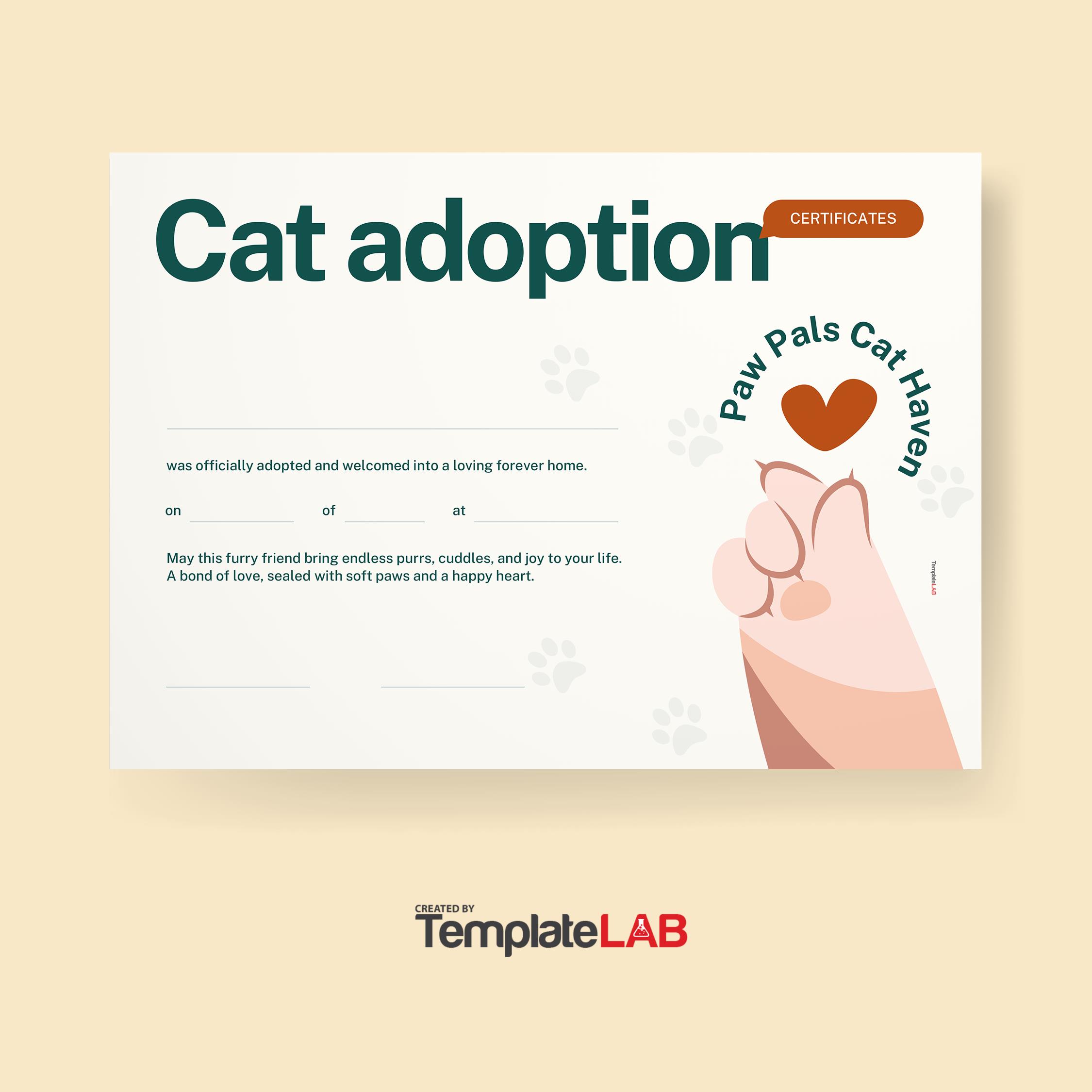 18 Printable Adoption Certificate Templates (FREE) ᐅ TemplateLab