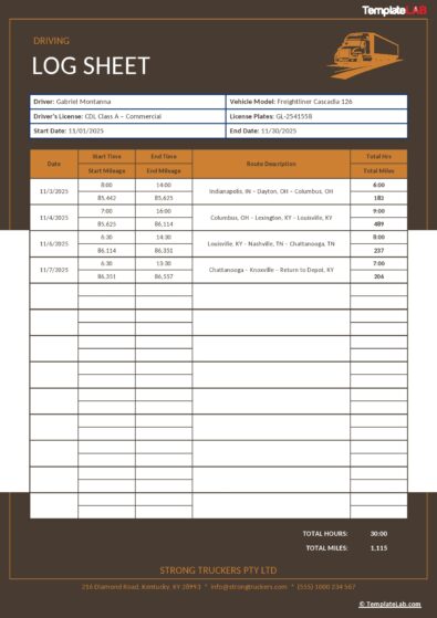 61 Printable Driver's Daily Log Books [Templates & Examples]